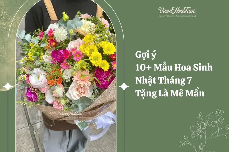 Bo hoa dong tien (Gerbera) nhieu mau sac tuoi tan, mang niem vui den nguoi sinh ngay 3 thang 8